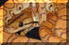 BRB-HypoDottie 06-01-06 Pic from Mike Lockwood