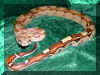 PCBLT F 06-06-04  - Boas2Balls
