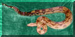PCBLT F 07-23-05 PIC 1.jpg (151931 bytes)